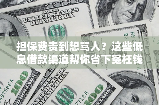 北京担保费贵到想骂人？这些低息借款渠道帮你省下冤枉钱