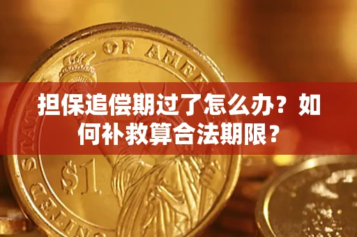 北京担保追偿期过了怎么办？如何补救算合法期限？