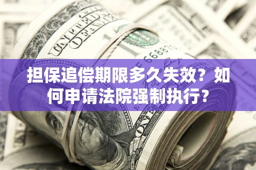 北京担保追偿期限多久失效？如何申请法院强制执行？