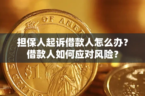 北京担保人起诉借款人怎么办？借款人如何应对风险？