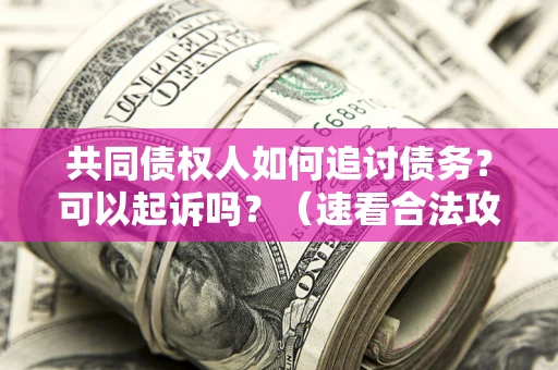 北京共同债权人如何追讨债务？可以起诉吗？（速看合法攻略）