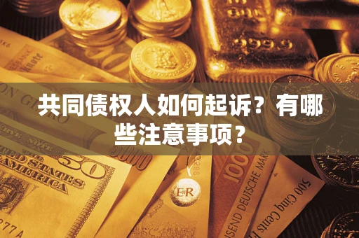 北京共同债权人如何起诉？有哪些注意事项？